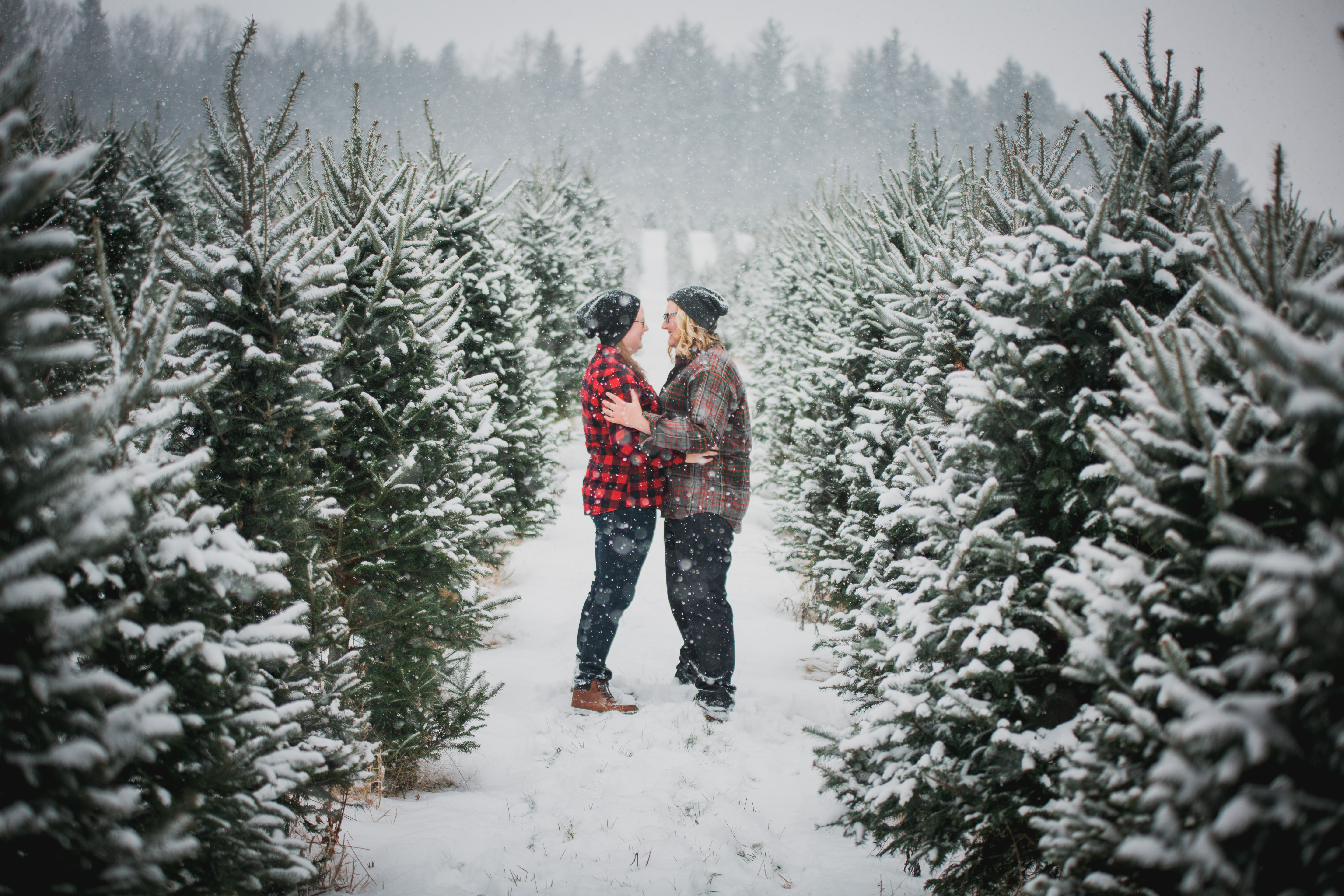 couple in a tree farm